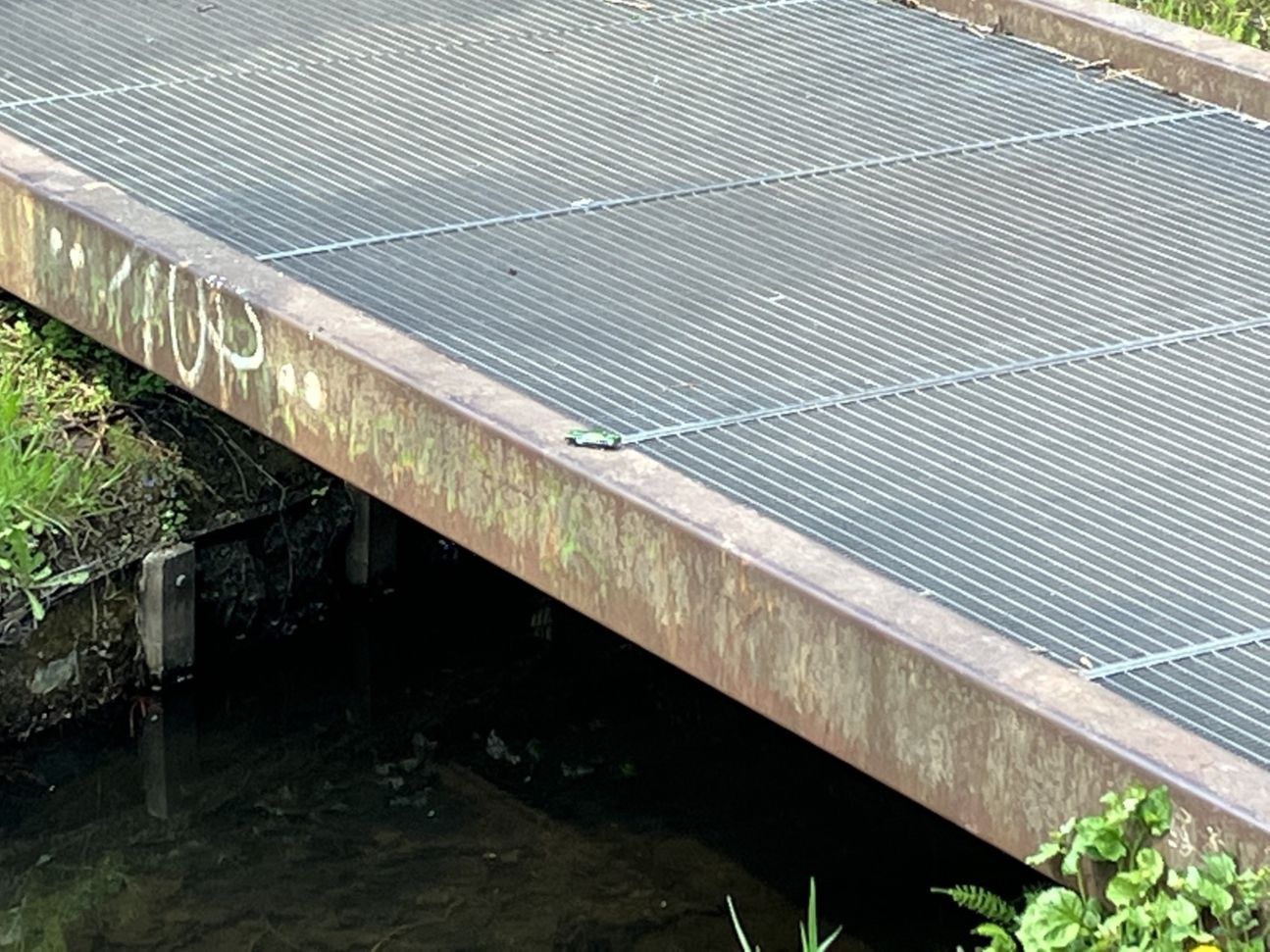 iphone-se-3-zoom-test-3 iPhone SE 3 Zoom-Test 3