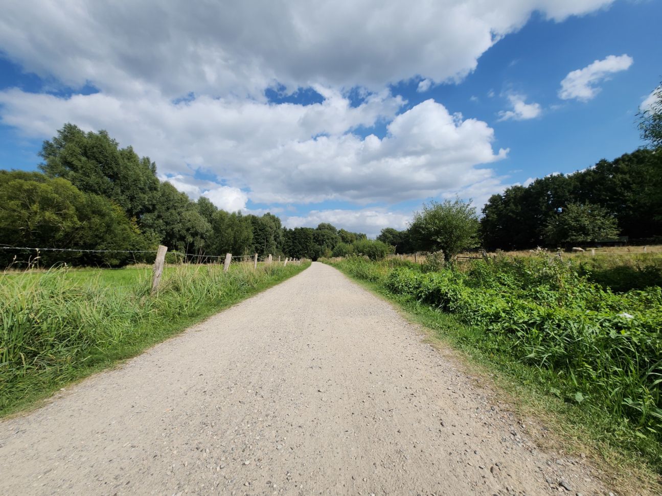 samsung-galaxy-z-flip4-ultraweitwinkel Galaxy Z Flip 4: Kamera Ultraweitwinkel