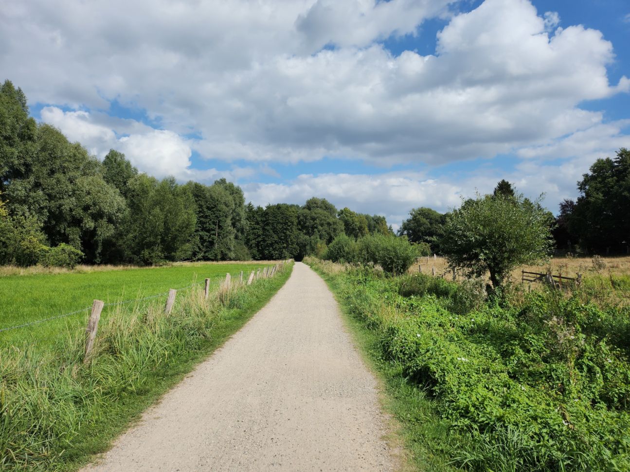 samsung-galaxy-z-flip4-weitwinkel Galaxy Z Flip 4: Kamera Weitwinkel