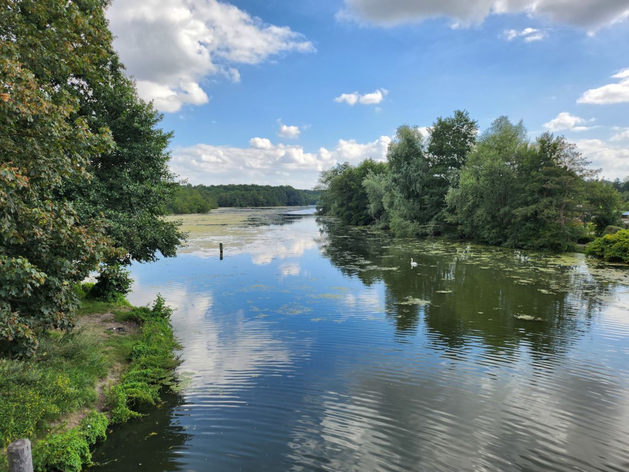 samsung-galaxy-z-flip4-zoom-1 Galaxy Z Flip 4: Kamera Zoom einfach