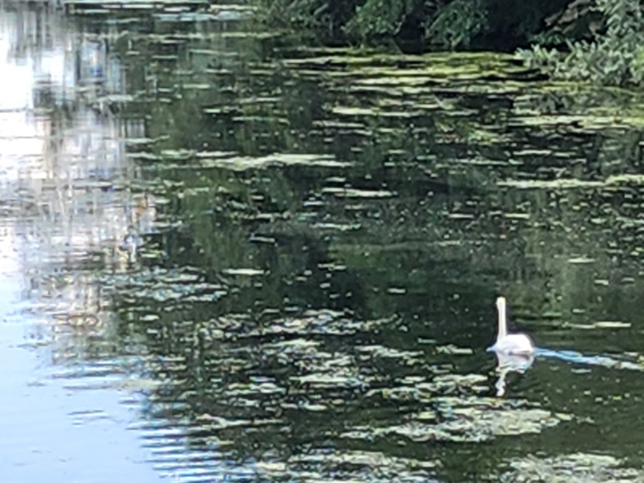 samsung-galaxy-z-flip4-zoom-10 Galaxy Z Flip 4: Kamera Zoom zehnfach