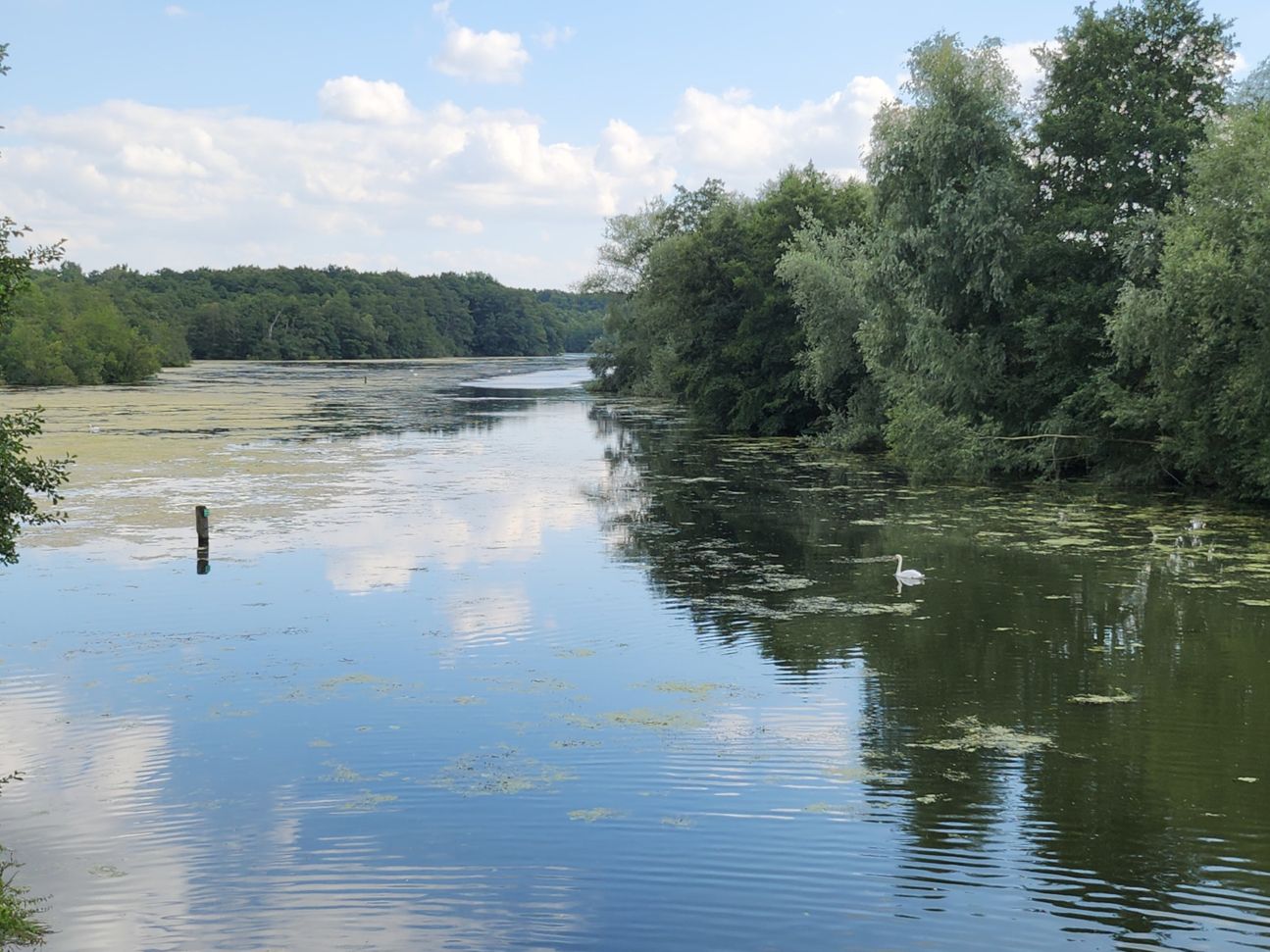 samsung-galaxy-z-flip4-zoom-2 Galaxy Z Flip 4: Kamera Zoom zweifach