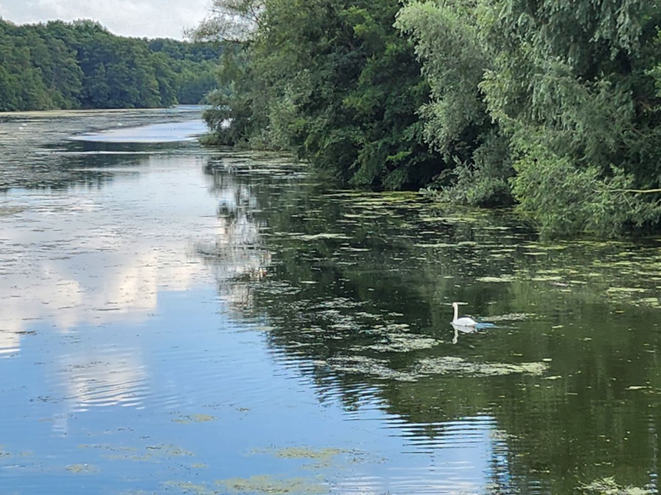 samsung-galaxy-z-flip4-zoom-4 Galaxy Z Flip 4: Kamera Zoom vierfach