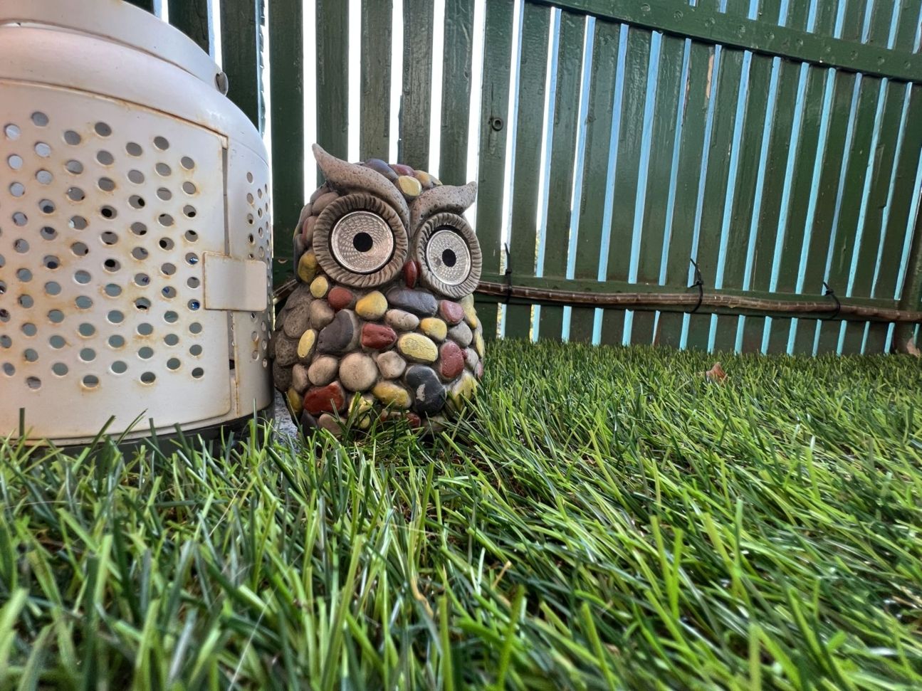 13-pro-eule-ultraweit iPhone 14 Pro vs 13 Pro Kameravergleich