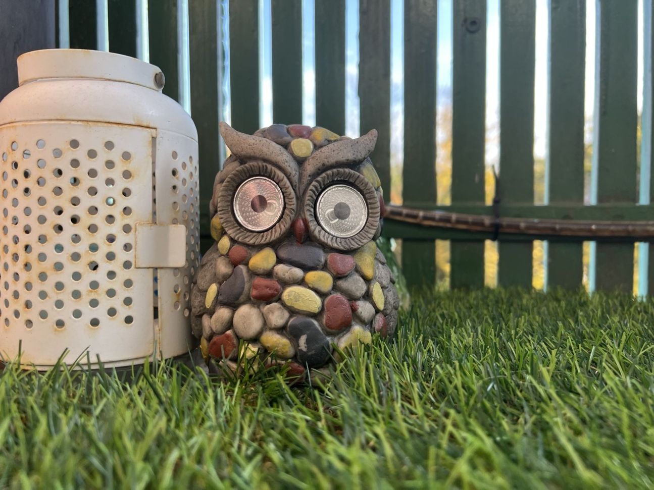 13-pro-eule-weit iPhone 14 Pro vs 13 Pro Kameravergleich