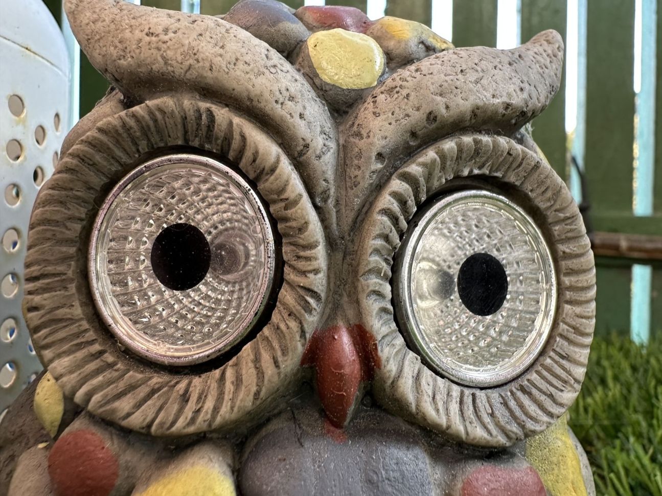 14-pro-eule-makro2 iPhone 14 Pro vs 13 Pro Kameravergleich