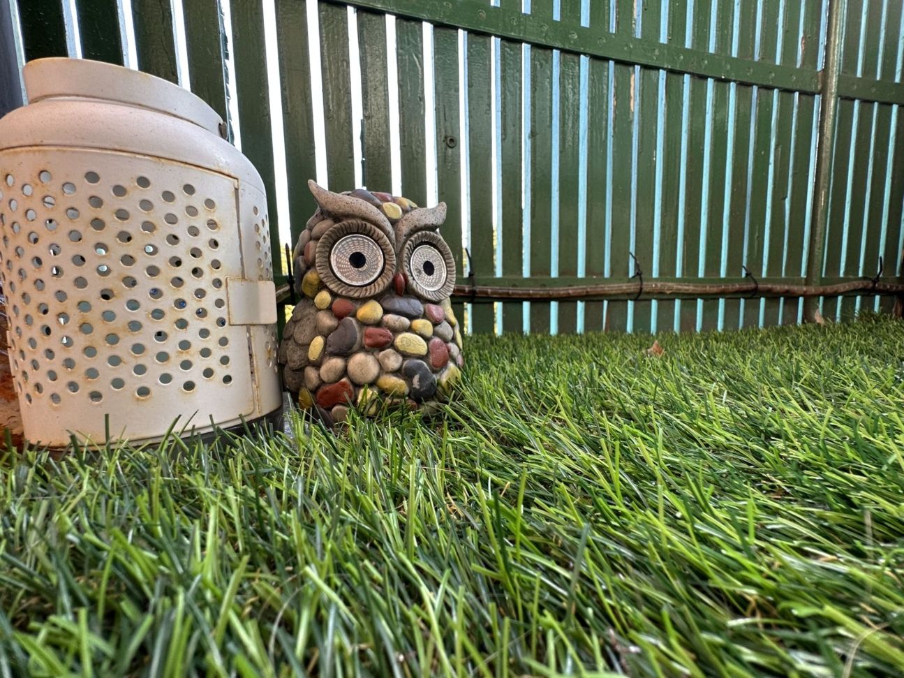 14-pro-eule-ultra-weit iPhone 14 Pro vs 13 Pro Kameravergleich