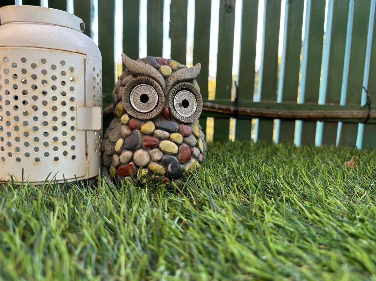 14-pro-eule-weit iPhone 14 Pro vs 13 Pro Kameravergleich