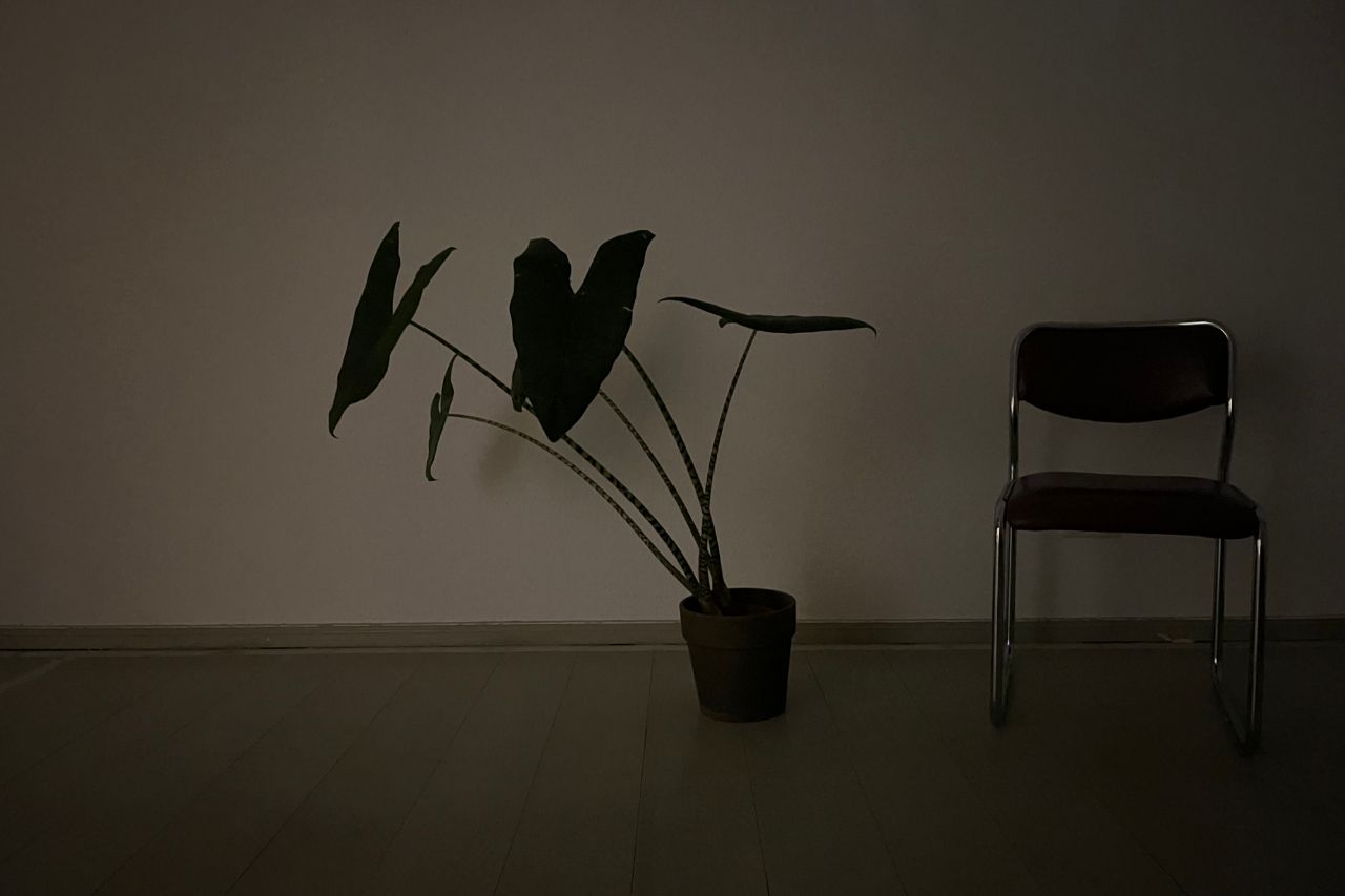 iphone-13-test-foto-3 iphone-13-test-foto-3