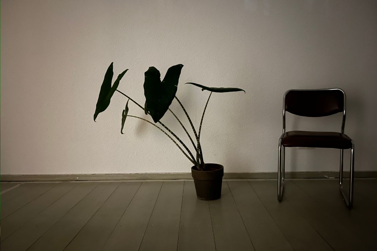 iphone-13-test-foto-4 iphone-13-test-foto-4