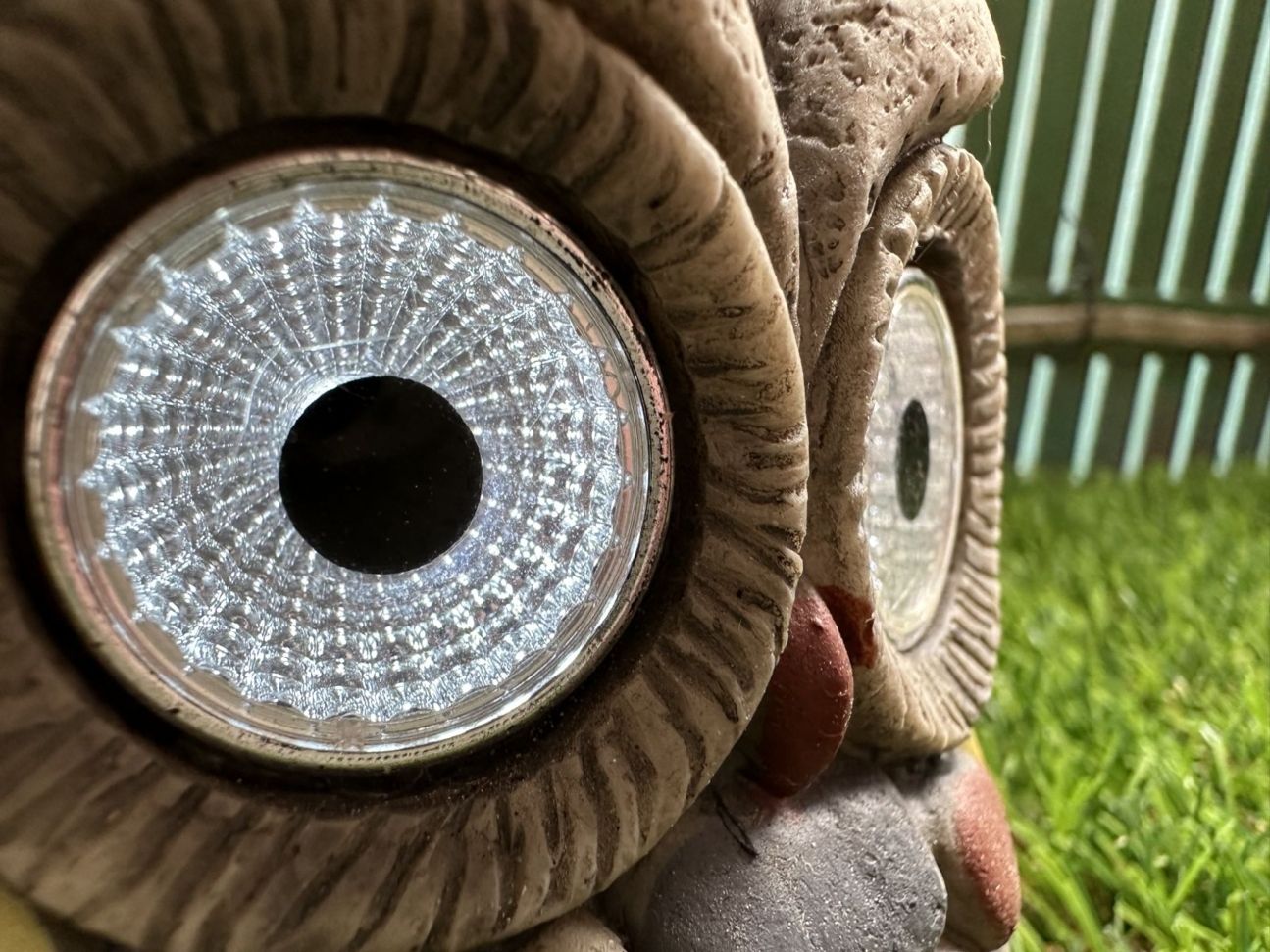 iphone-14-pro-makro iPhone 14 Pro Kamera Sample