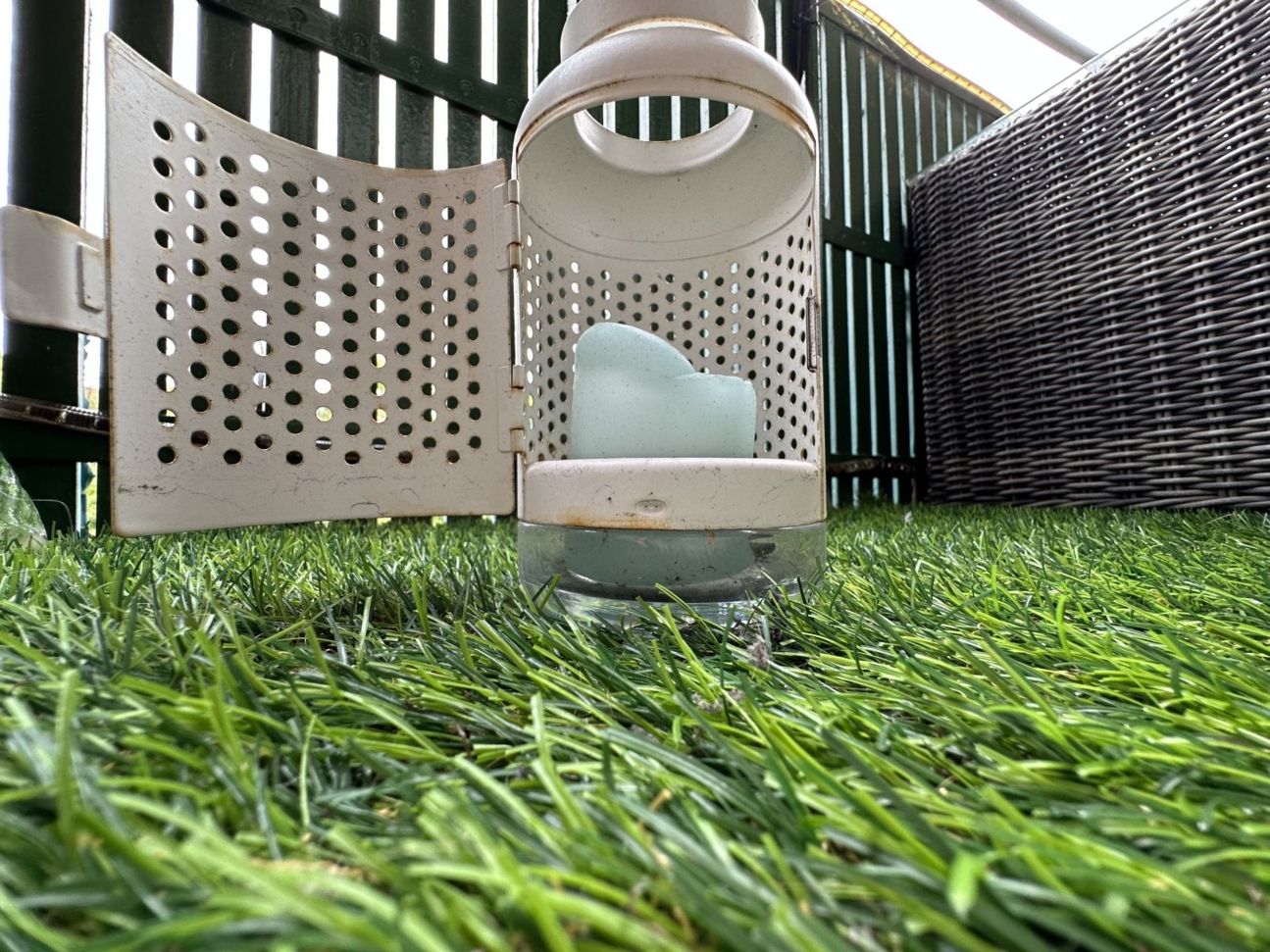 iphone-14-pro-ultraweit-gras iPhone 14 Pro Kamera Sample