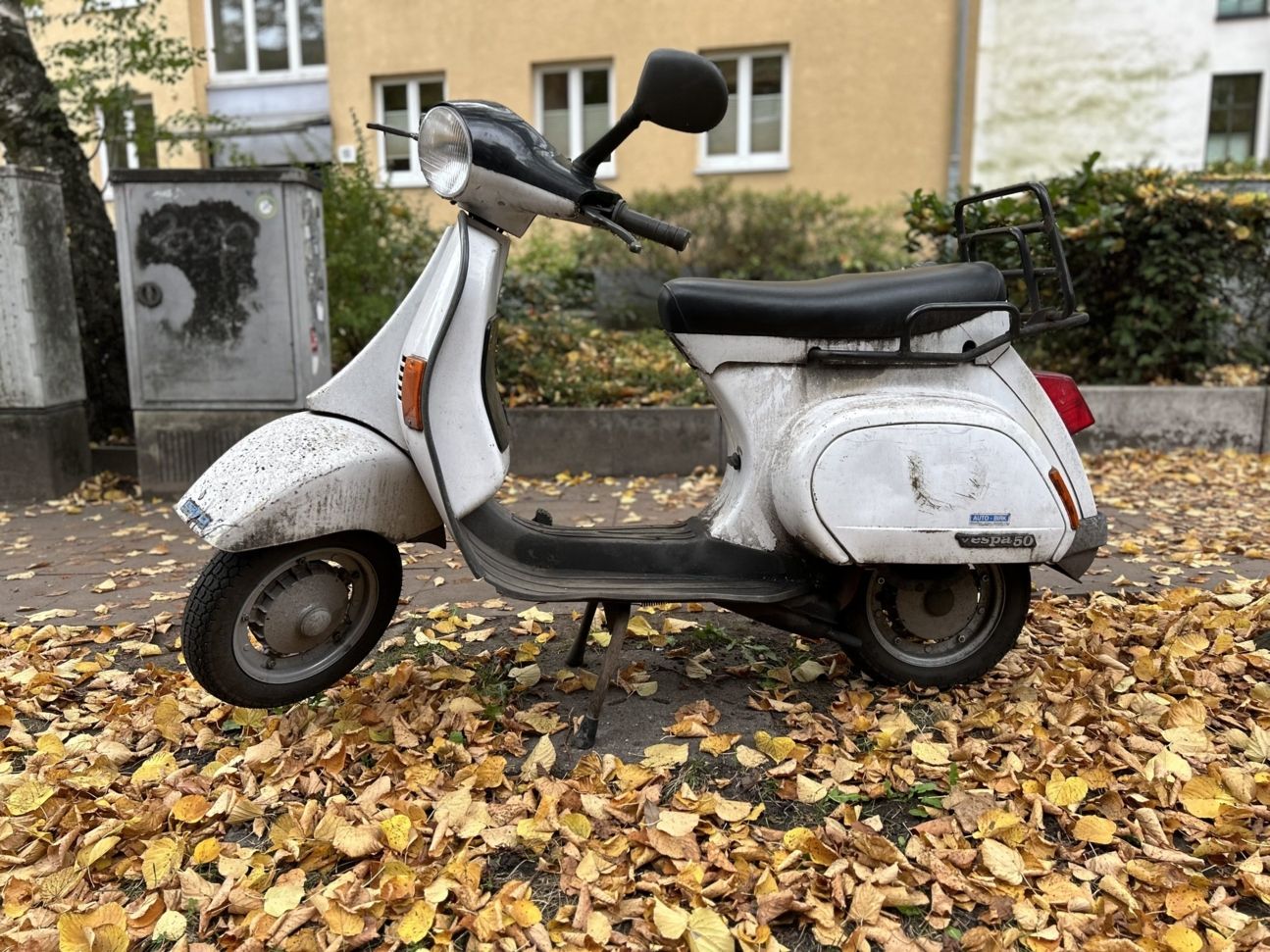 iPhone 14 Plus Porträt Fail iPhone 14 Plus Porträtmodus