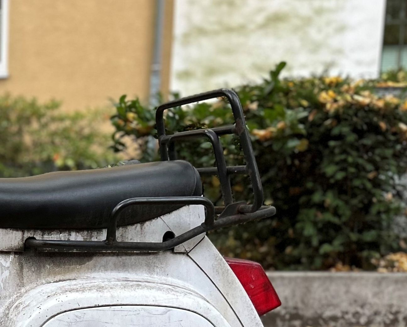 iPhone 14 Plus Porträt Kamera Fail iPhone 14 Plus Porträt Fail