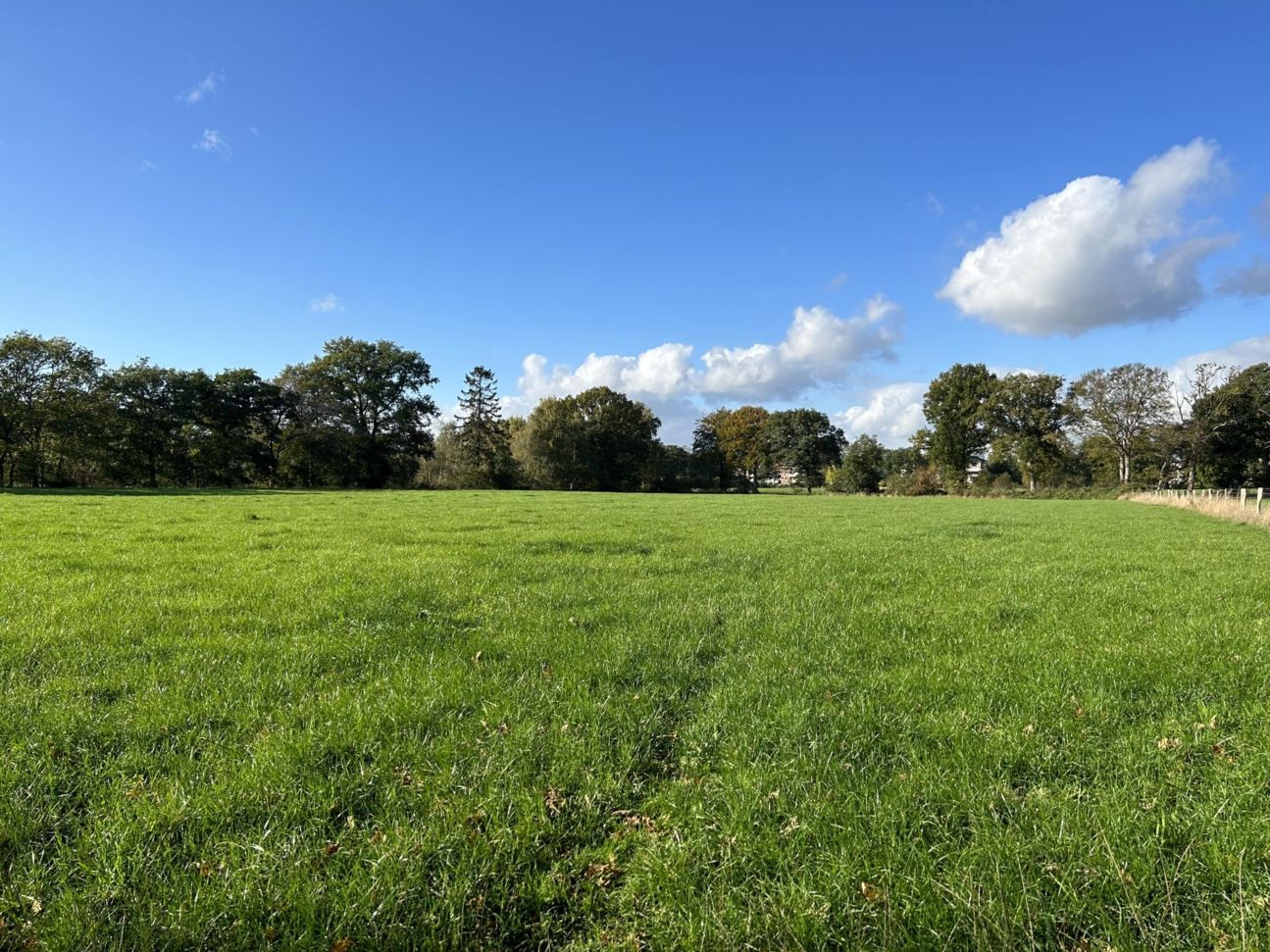 iPhone 14 Plus Test Ultraweitwinkelvergleich (1) iPhone 14 Plus Test Weitwinkel