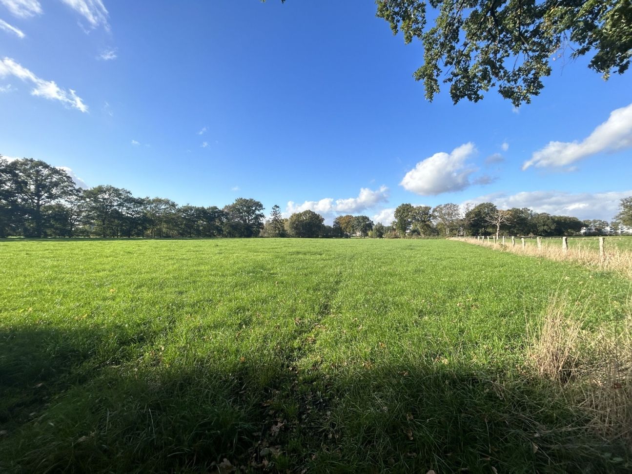 iPhone 14 Plus Test Ultraweitwinkelvergleich (2) iPhone 14 Plus Test Ultraweitwinkelvergleich (2)