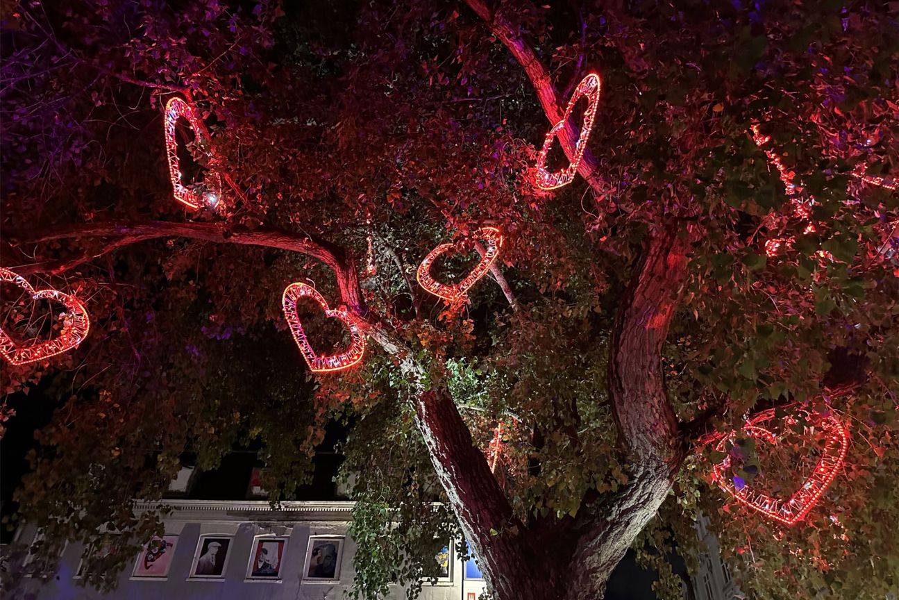 iphone-14-pro-max-kamera-test-hauptlinse-4 iphone-14-pro-max-kamera-test-hauptlinse-4