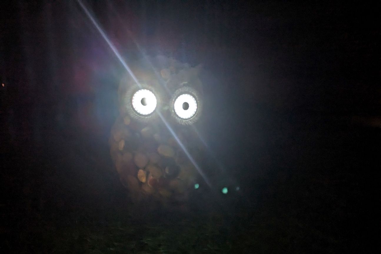 pixel-7a-eule-nacht Pixel 7a Kamera Test