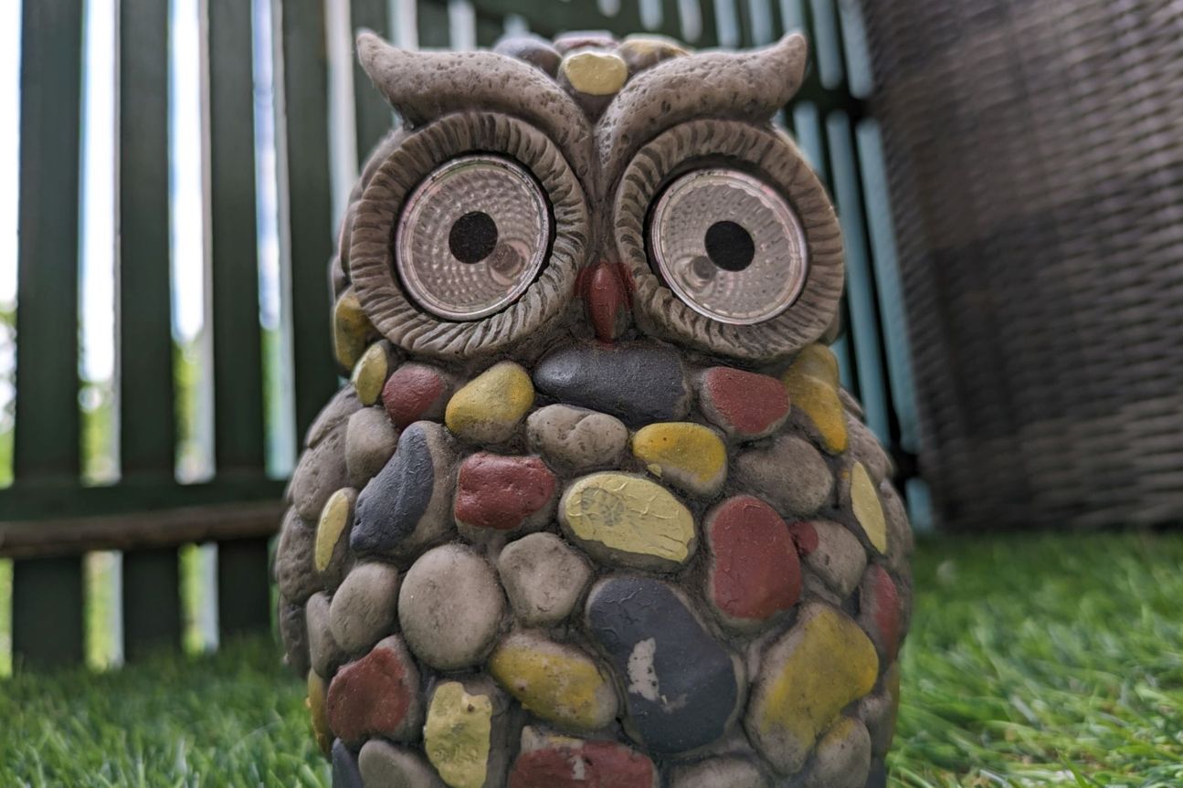 pixel-7a-eule-schein Pixel 7a Kamera Test