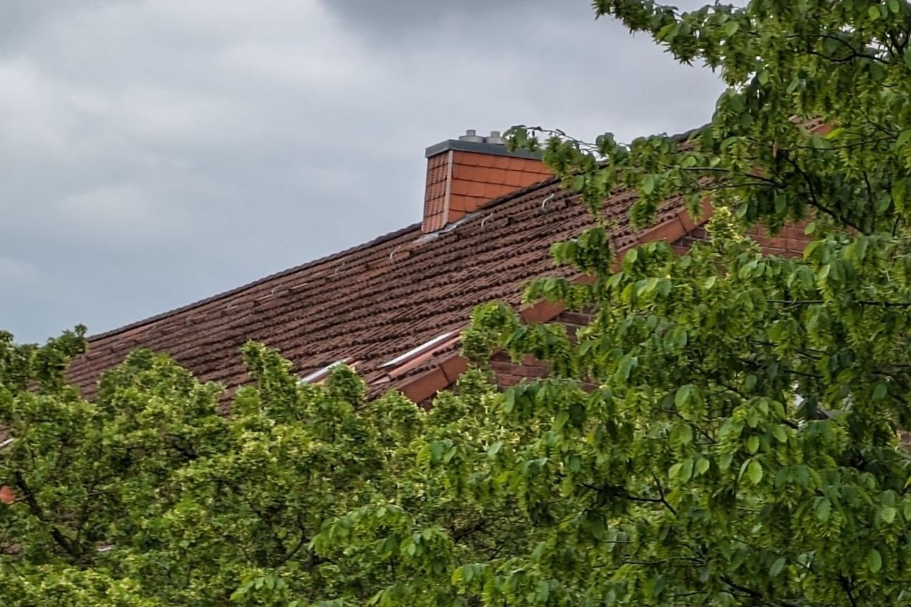 pixel-7a-wackler-nah Pixel 7a Kamera Test