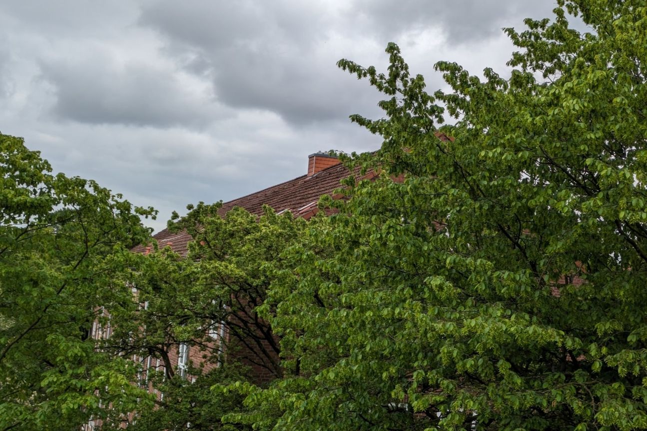 pixel-7a-wackler Pixel 7a Kamera Test