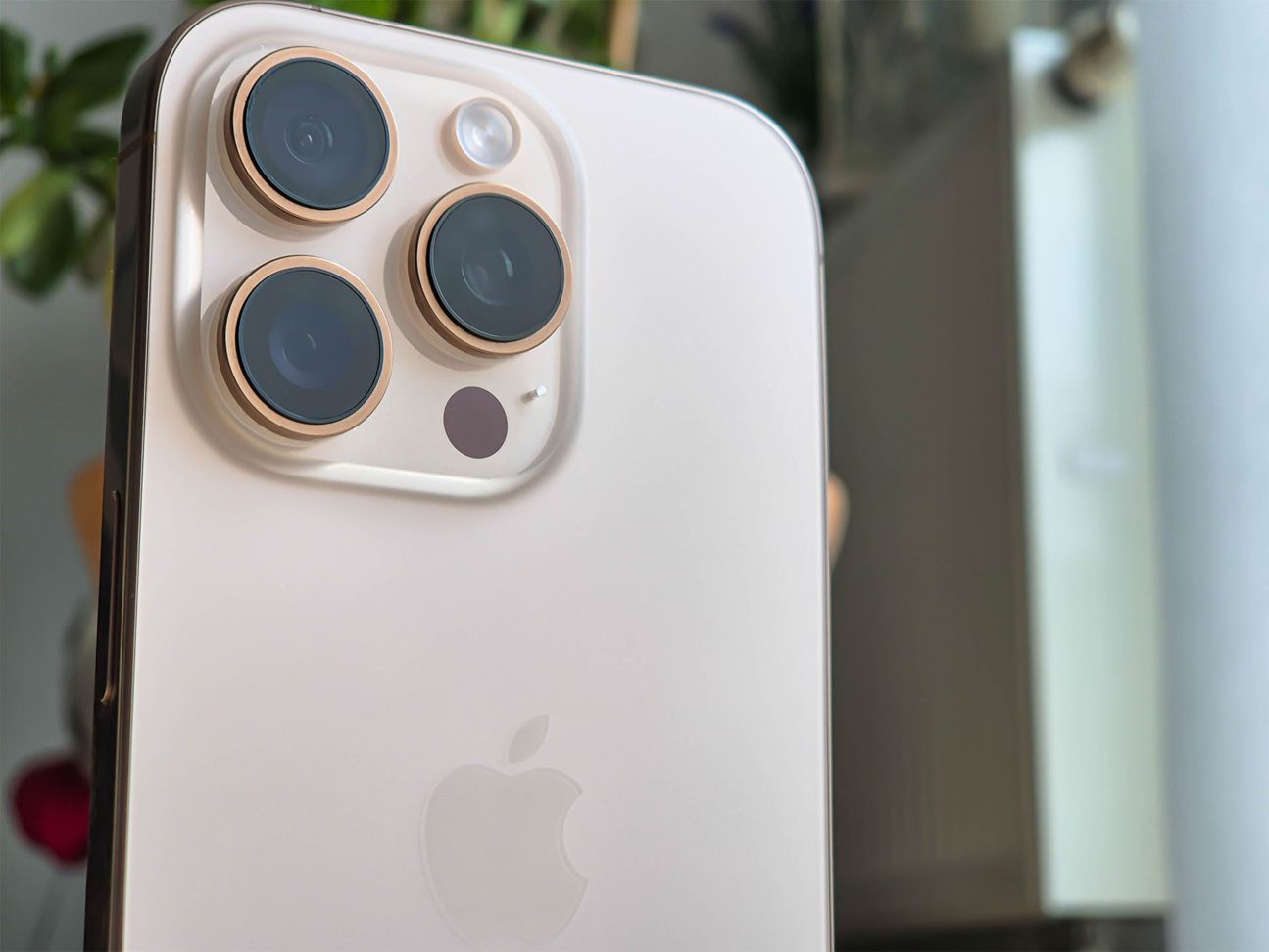 iPhone 16 Kamera iPhone 16 Kamera