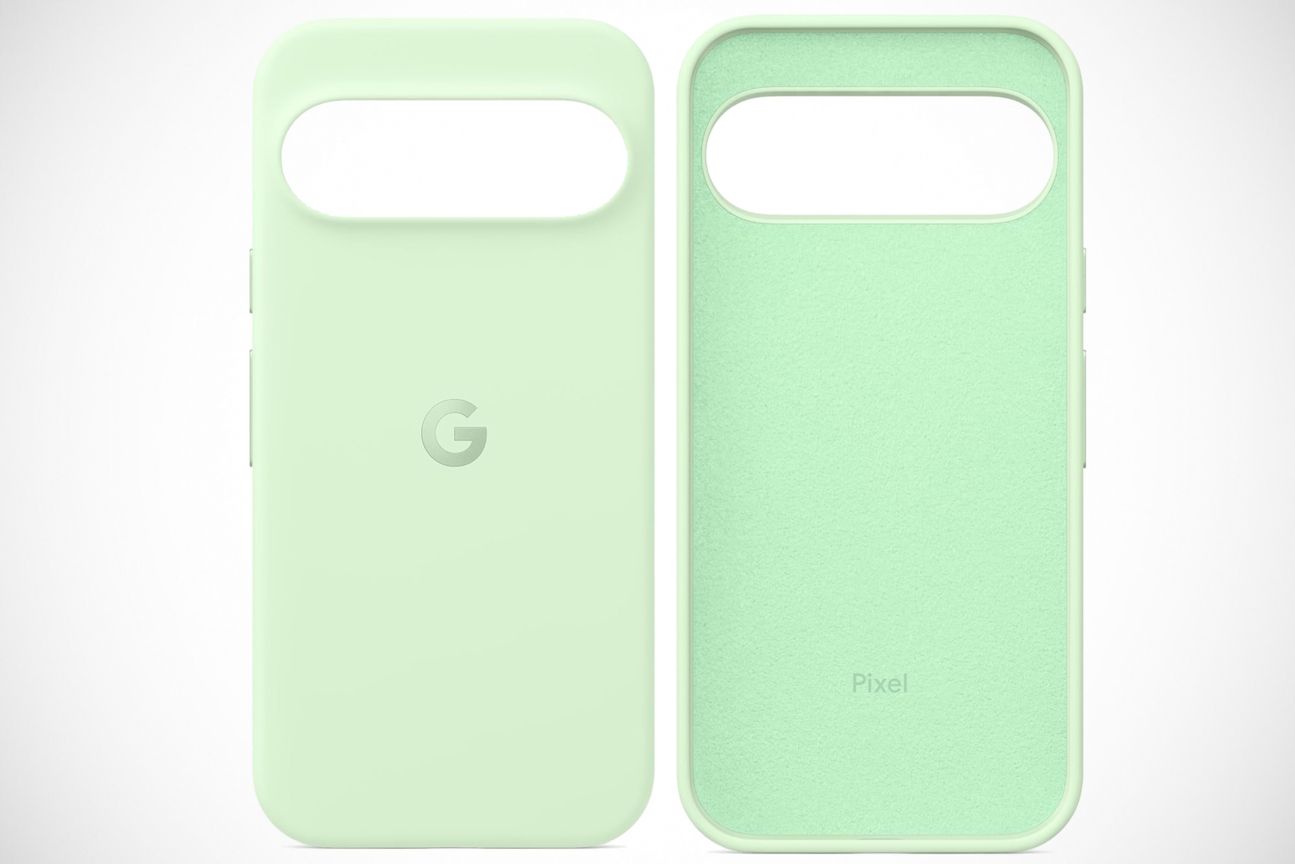 Google Case Pixel 9 Hülle