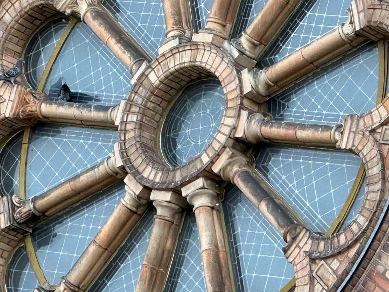 iphone-16-pro-foto-sample-_0006_IMG_6891.HEIC iPhone 16 Pro Foto Sample