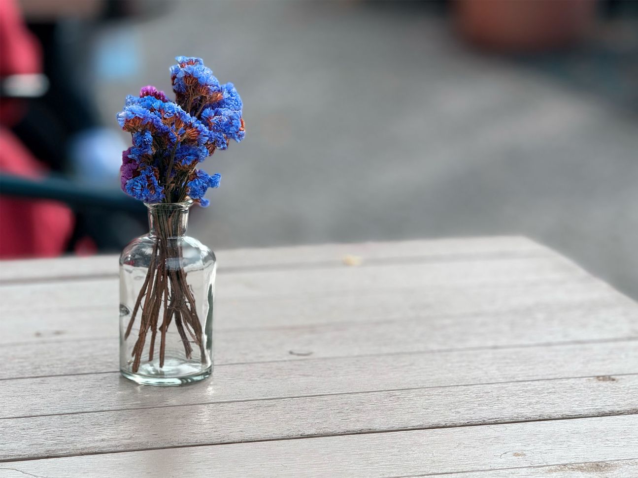 iphone-16-pro-foto-sample-_0010_IMG_6922 3.heic iPhone 16 Pro Foto Sample