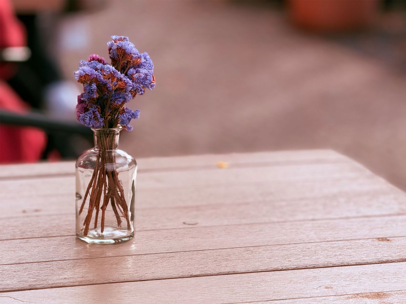 iphone-16-pro-foto-sample-_0011_IMG_6922 4.heic iPhone 16 Pro Foto Sample