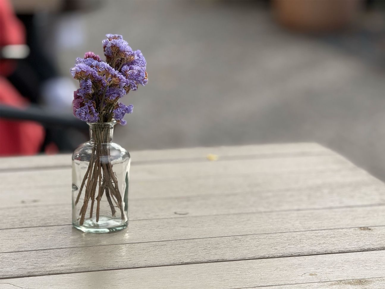 iphone-16-pro-foto-sample-_0012_IMG_6922.heic iPhone 16 Pro Foto Sample