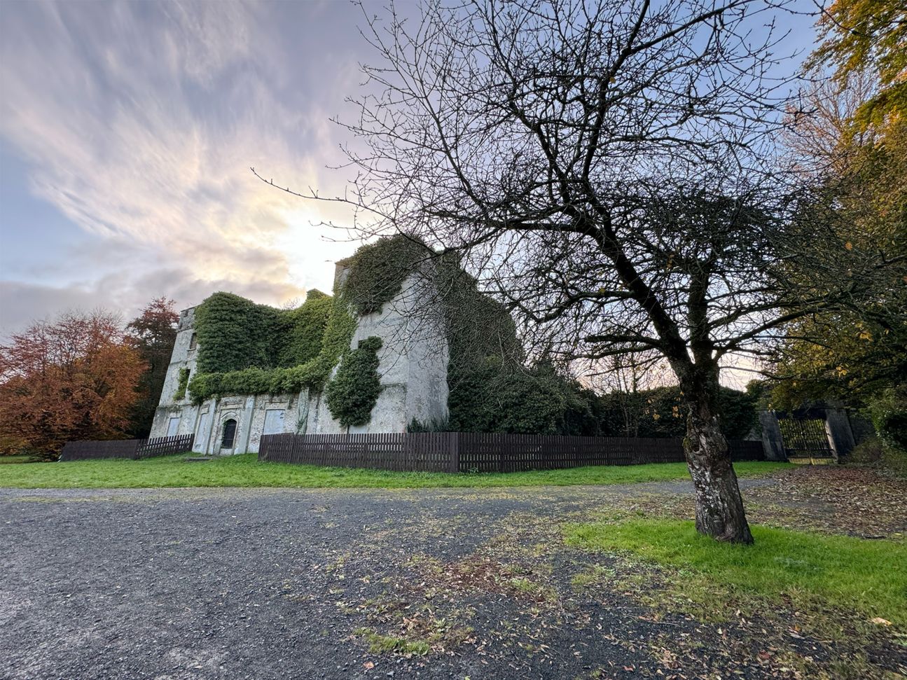 iphone-15-pro-foto-sample-3 Foto-Beispiel iPhone 15 Pro