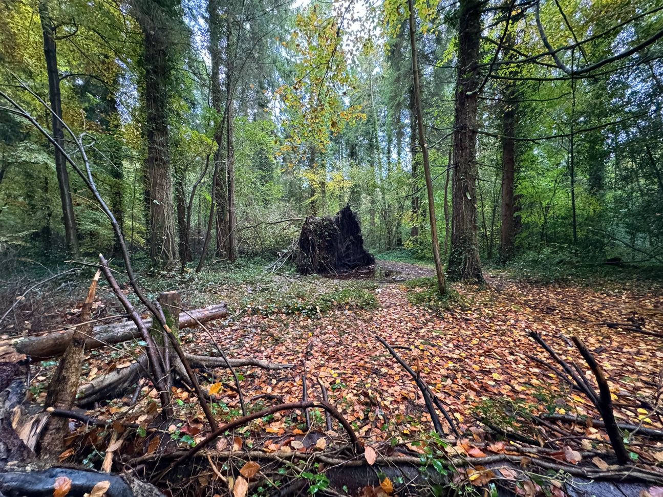 iphone-15-pro-foto-sample-4 Foto-Beispiel iPhone 15 Pro