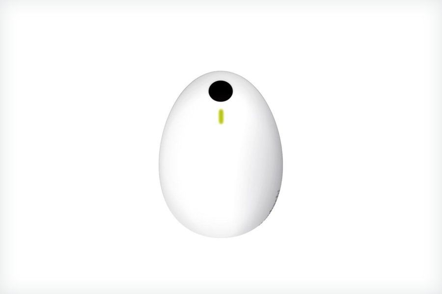 Koubachi WiFi Pflanzensensor