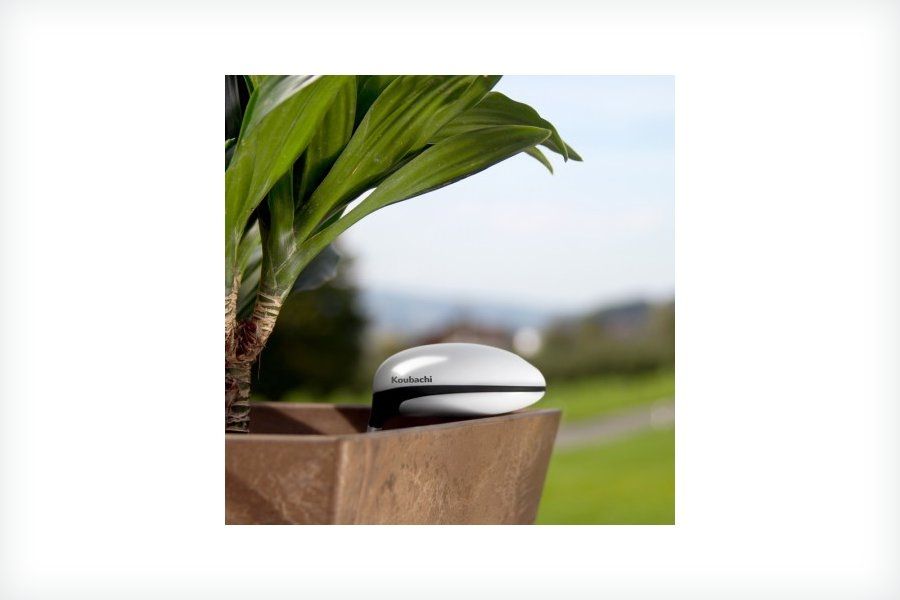 Koubachi WiFi Pflanzensensor