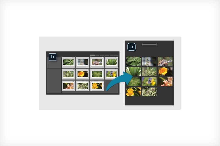 Adobe Lightroom Mobile