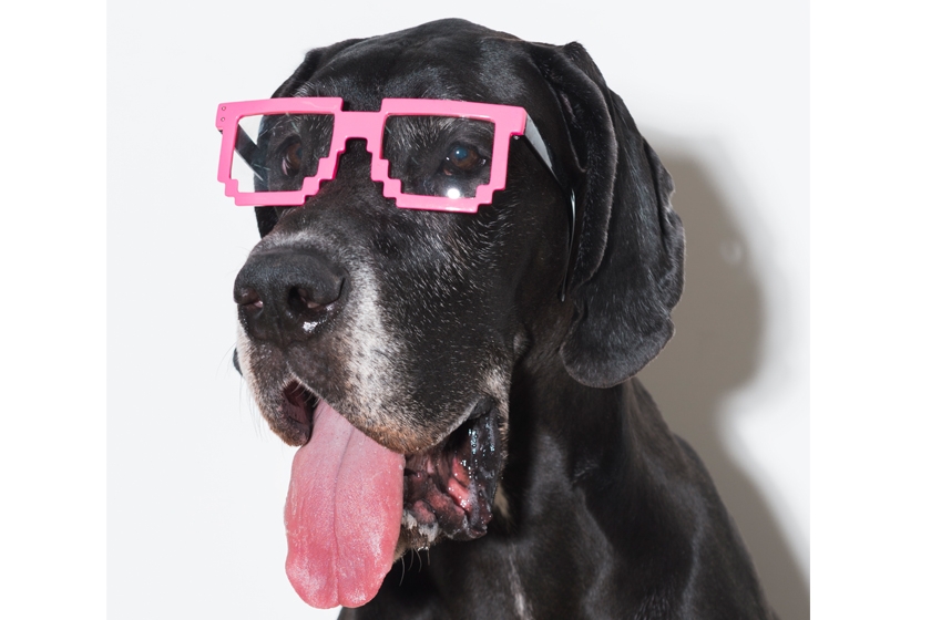 Smart Glass