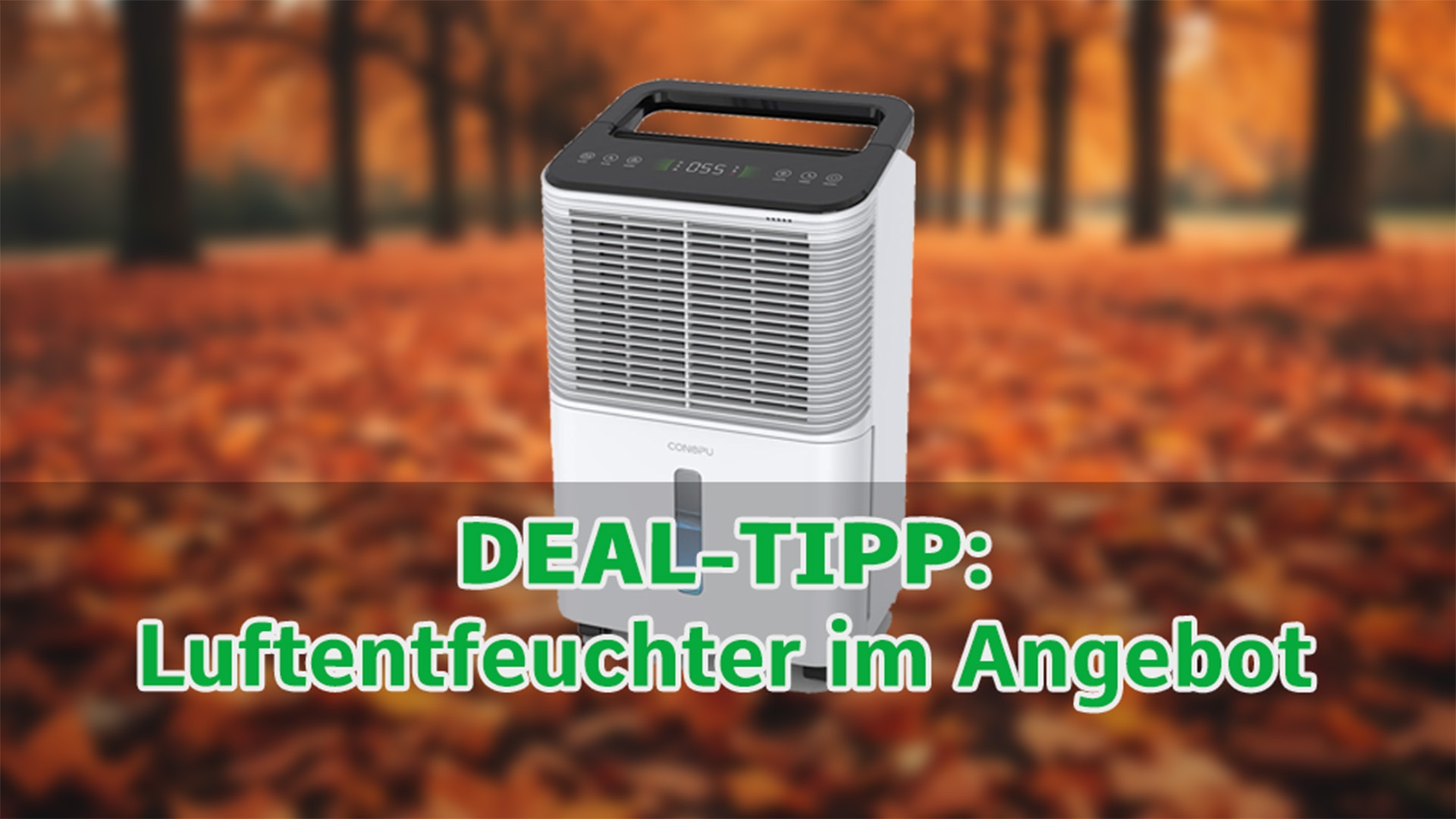 Ein Luftentfeuchter im Angebot