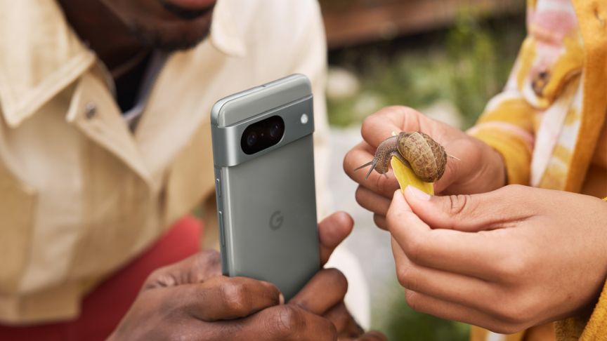 Das Google Pixel 8 Google Pixel 8: Makro-Fotos