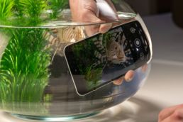 wasserdichte-handys Wasserdichtes Pixel 5