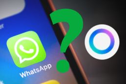 Der bunte Kreis in WhatsApp steht für die Meta AI. Und die könnt ihr nun gezielt aussperren WhatsApp bunter Kreis